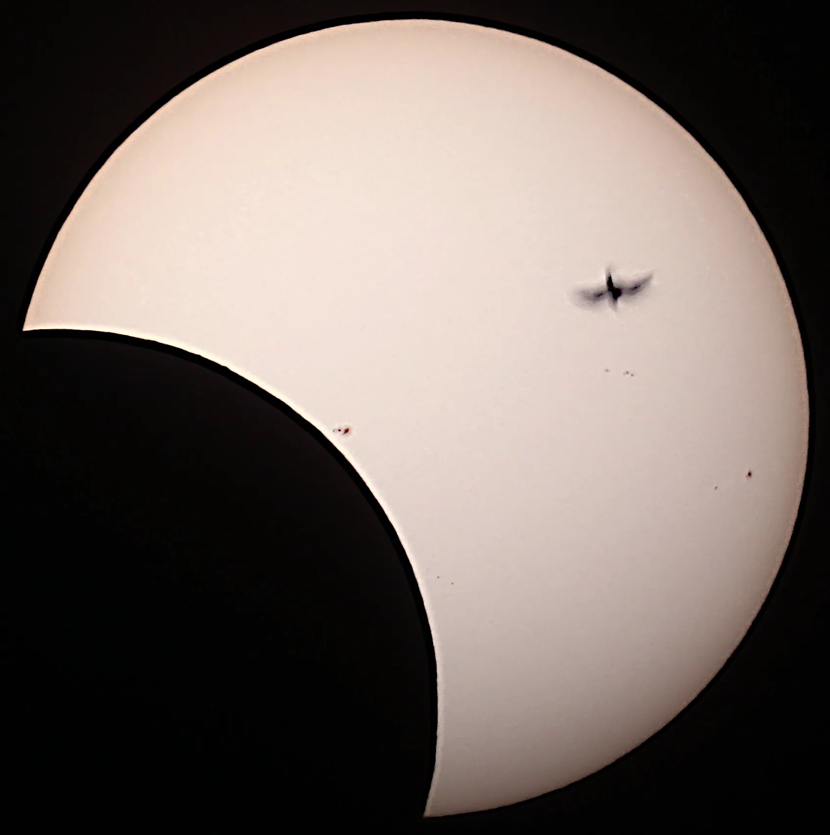 Solar eclipse with a bird and sunspots.